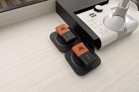 Pedestal - showing two wireless mics in charging base